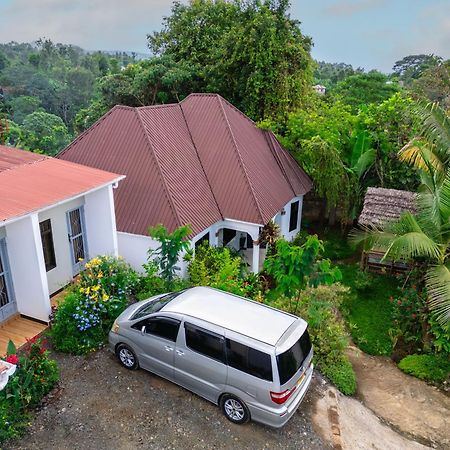 아루샤 New Dream House B&B 외부 사진
