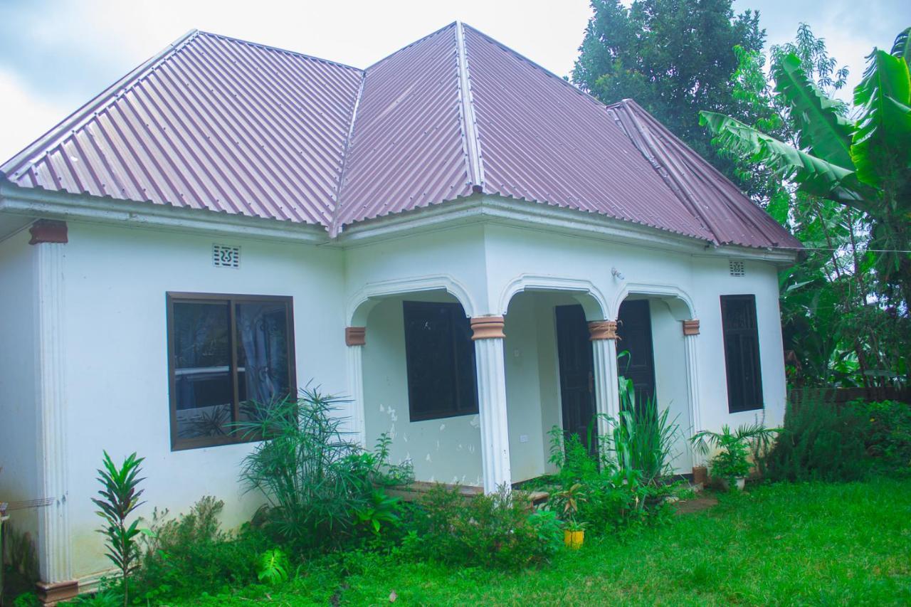 아루샤 New Dream House B&B 외부 사진