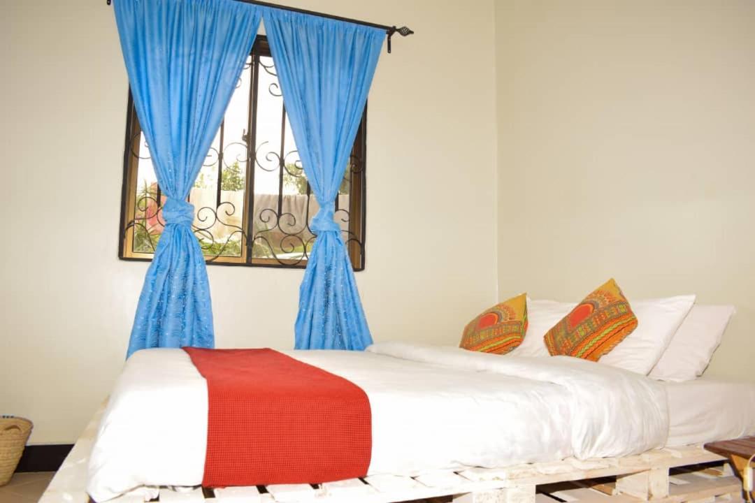 아루샤 New Dream House B&B 외부 사진